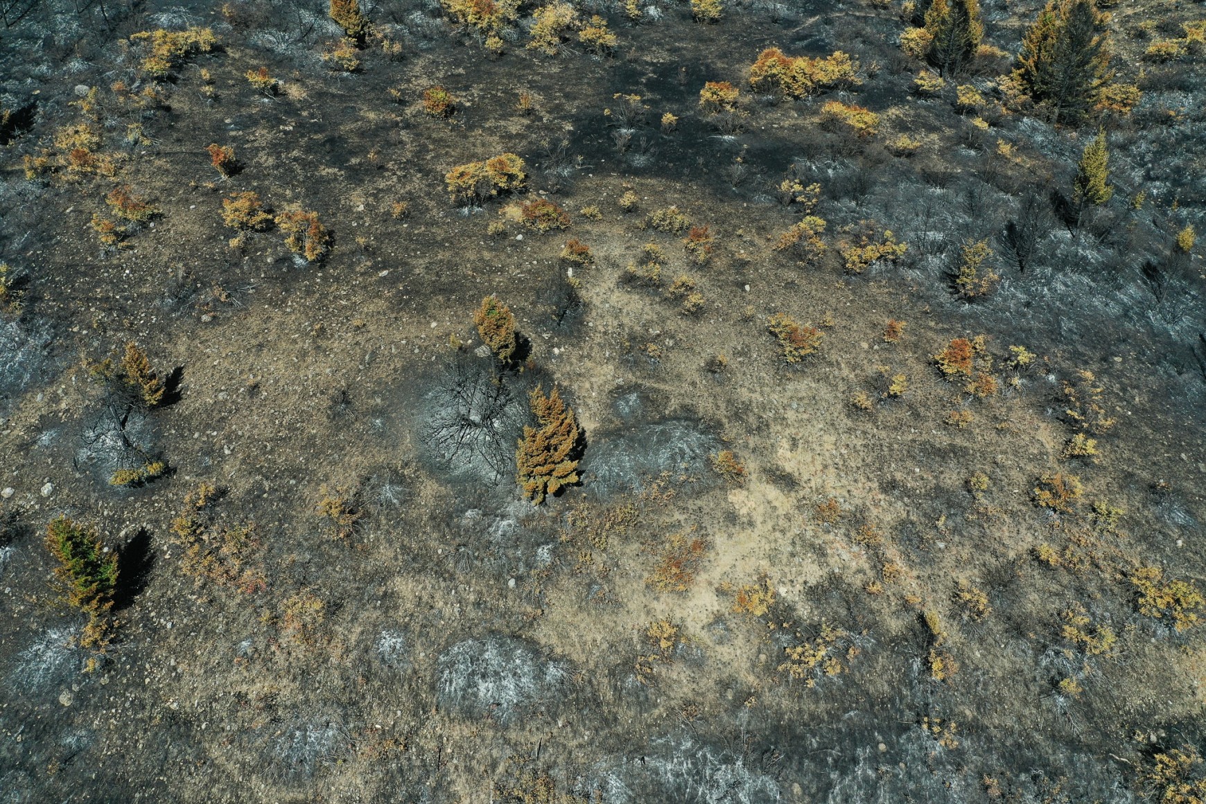 Stephen Shore, Bozeman, Montana, September 10&nbsp;