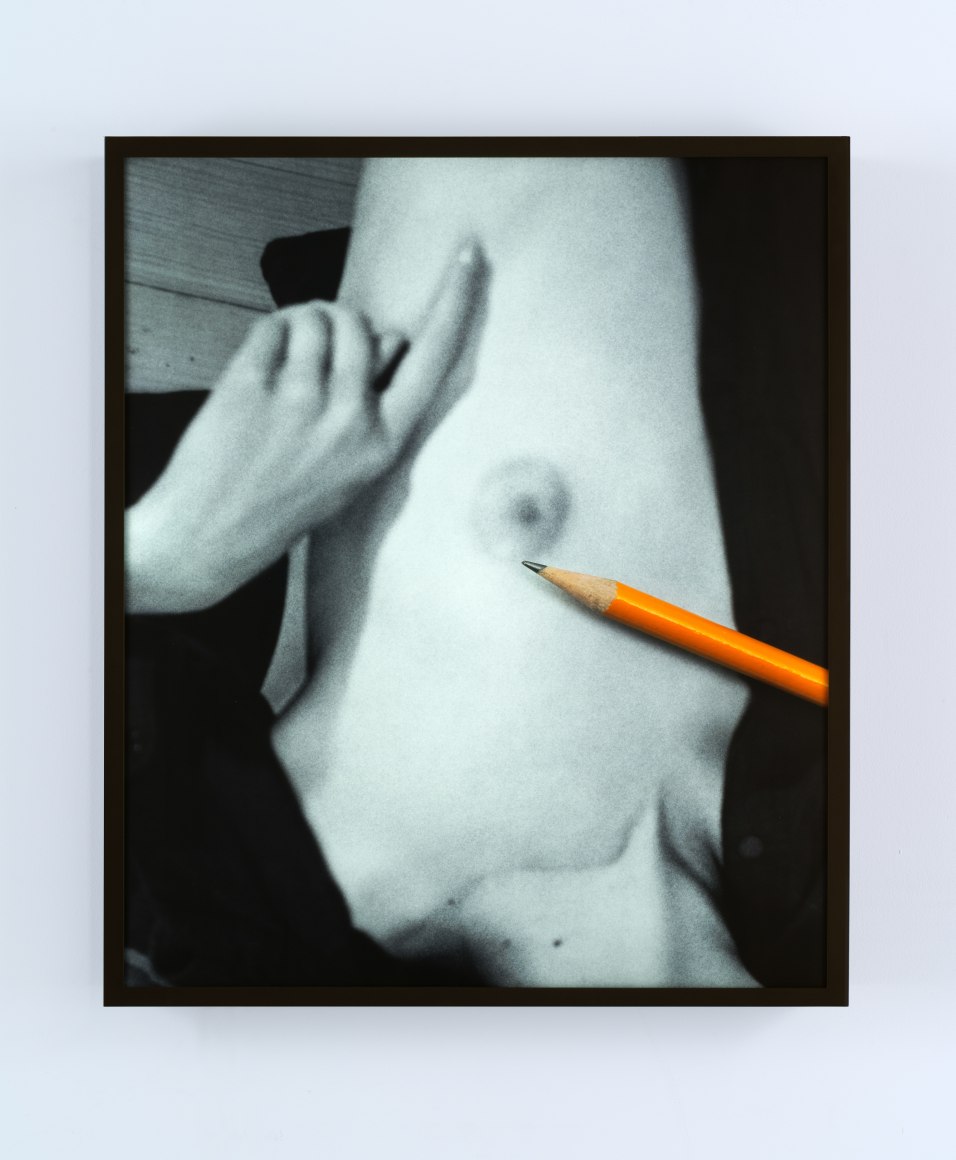 Collier Schorr, Point