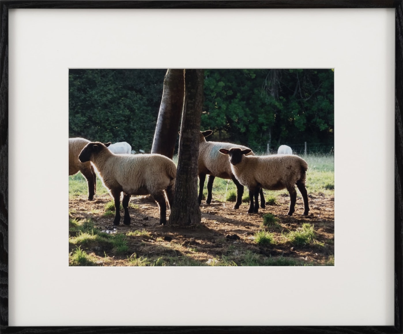 Karen Kilimnik, the adorable peeing sheep