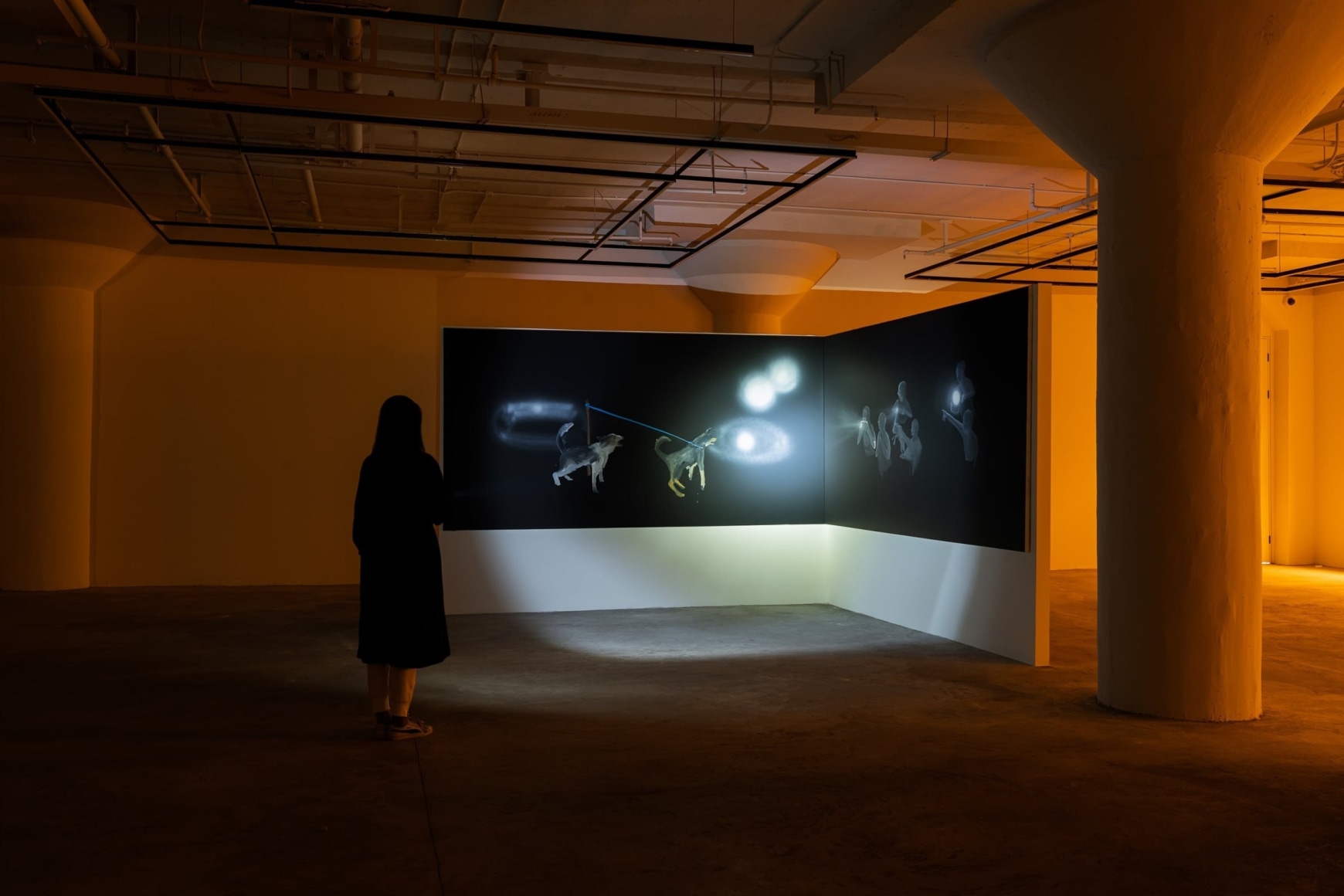 Installation view: Tala Madani,&nbsp;It Was as if the Shadows Were Lit Up, Longlati Foundation, Shanghai,2021