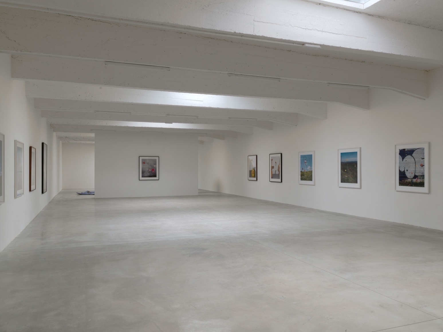 Installation view:&nbsp;L&rsquo;almanach 14: Collier Schorr