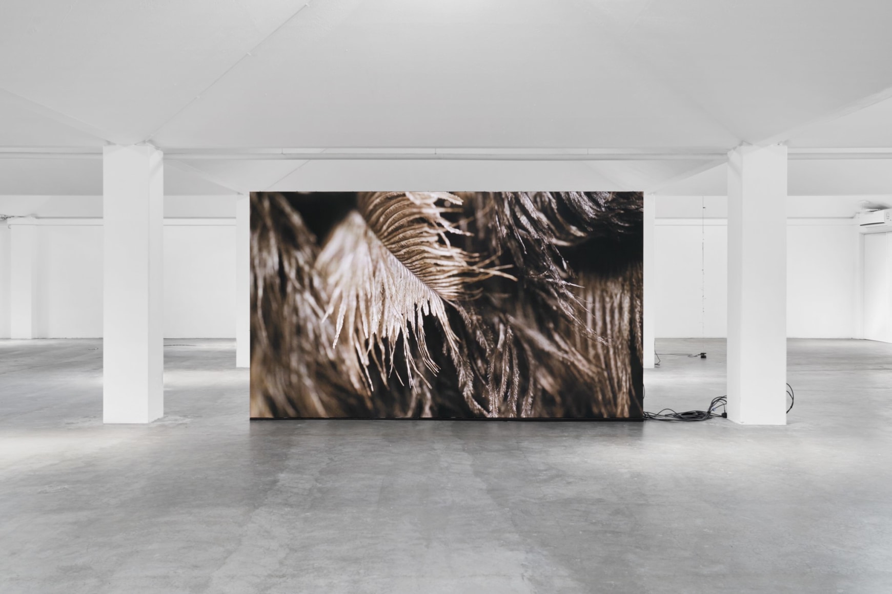 Installation view, Nina Canell, Future Mechanism Rag Plus Two Grams, Simian, Cophenhagen, 2024. Photo: GRAYSC / Simian
