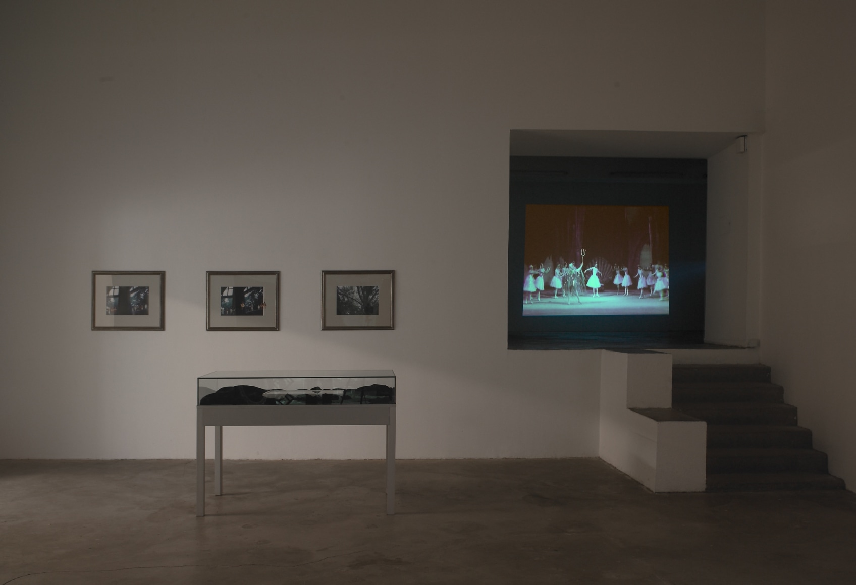 Karen Kilimnik, Le Consortium, Dijon, 2007