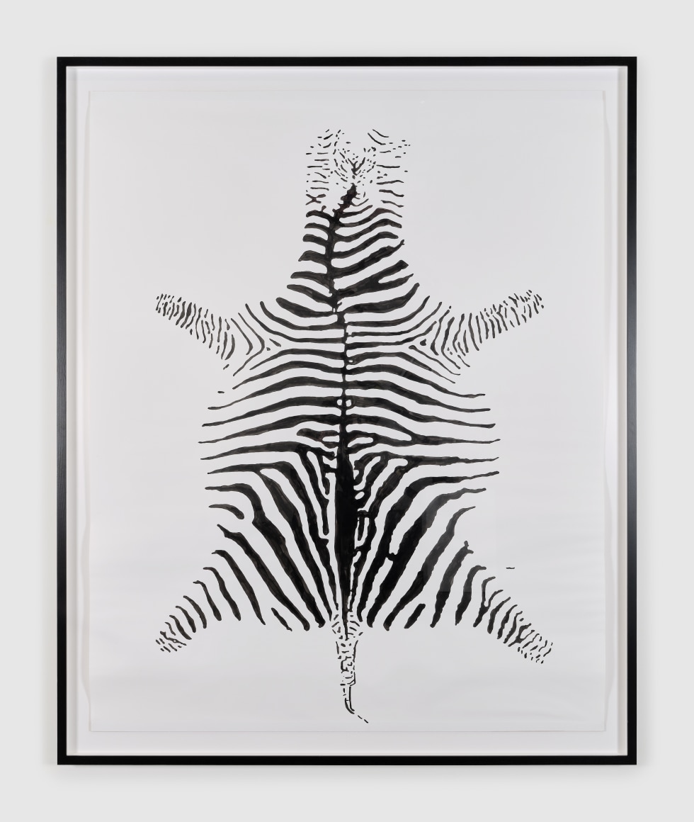 Hans-Peter Feldmann, Zebra