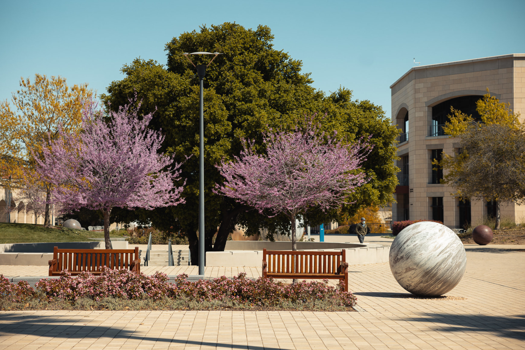 Installation view, Alicja Kwade, Pars pro Toto, Stanford University: Stanford, CA, 2021.