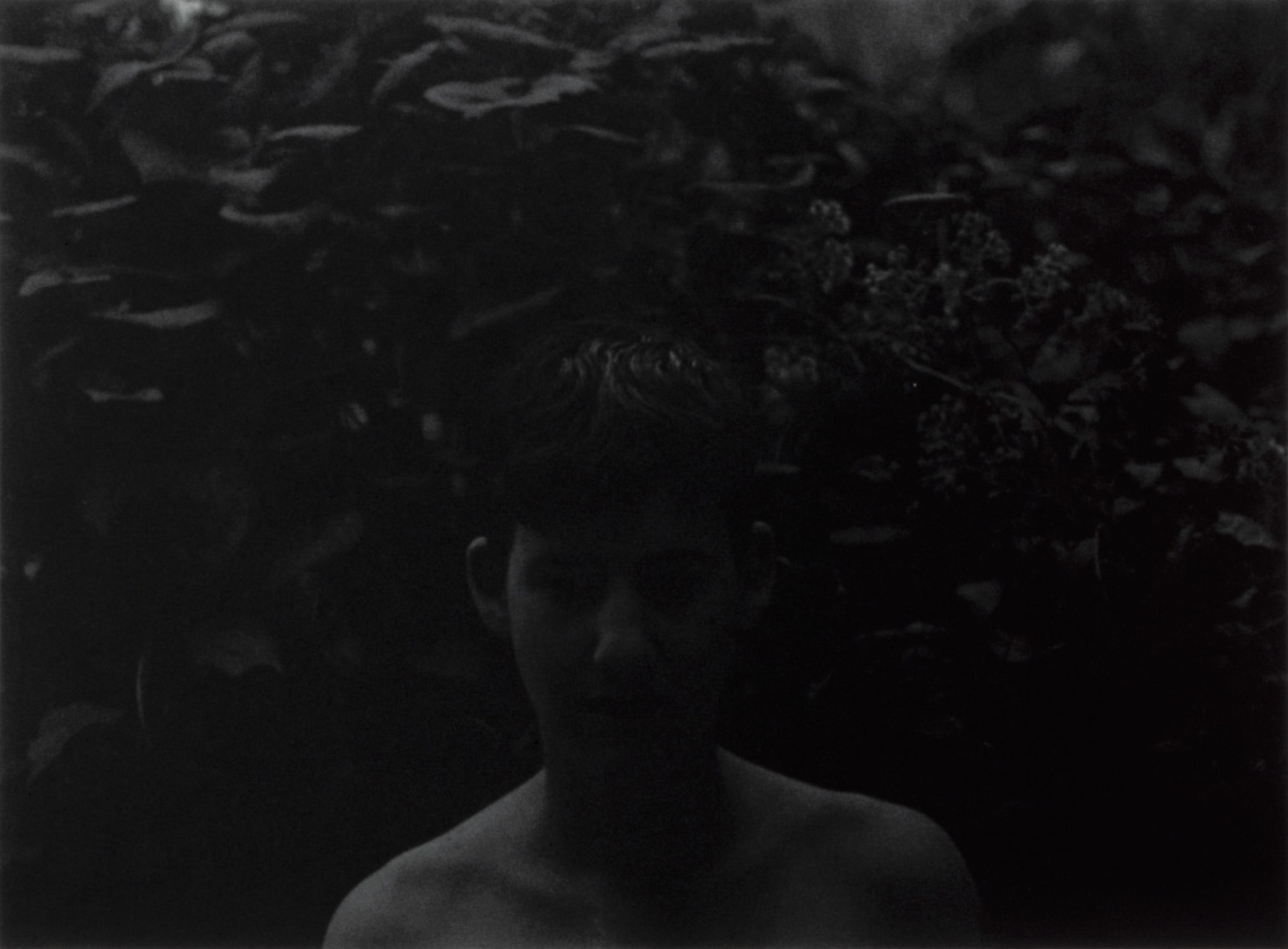 Collier Schorr, The Last to Know What It's Like to be a Traitor, 1994
