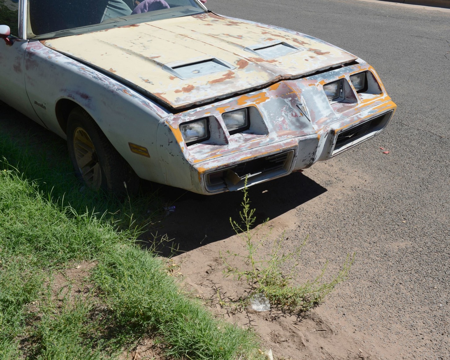 Stephen Shore, Winslow, Arizona, September 19, 2013