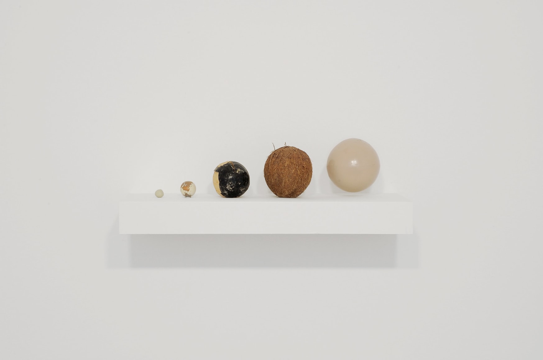 Nina Canell, Installation view: Mid-Sentence, Moderna Museet, Stockholm, 2014