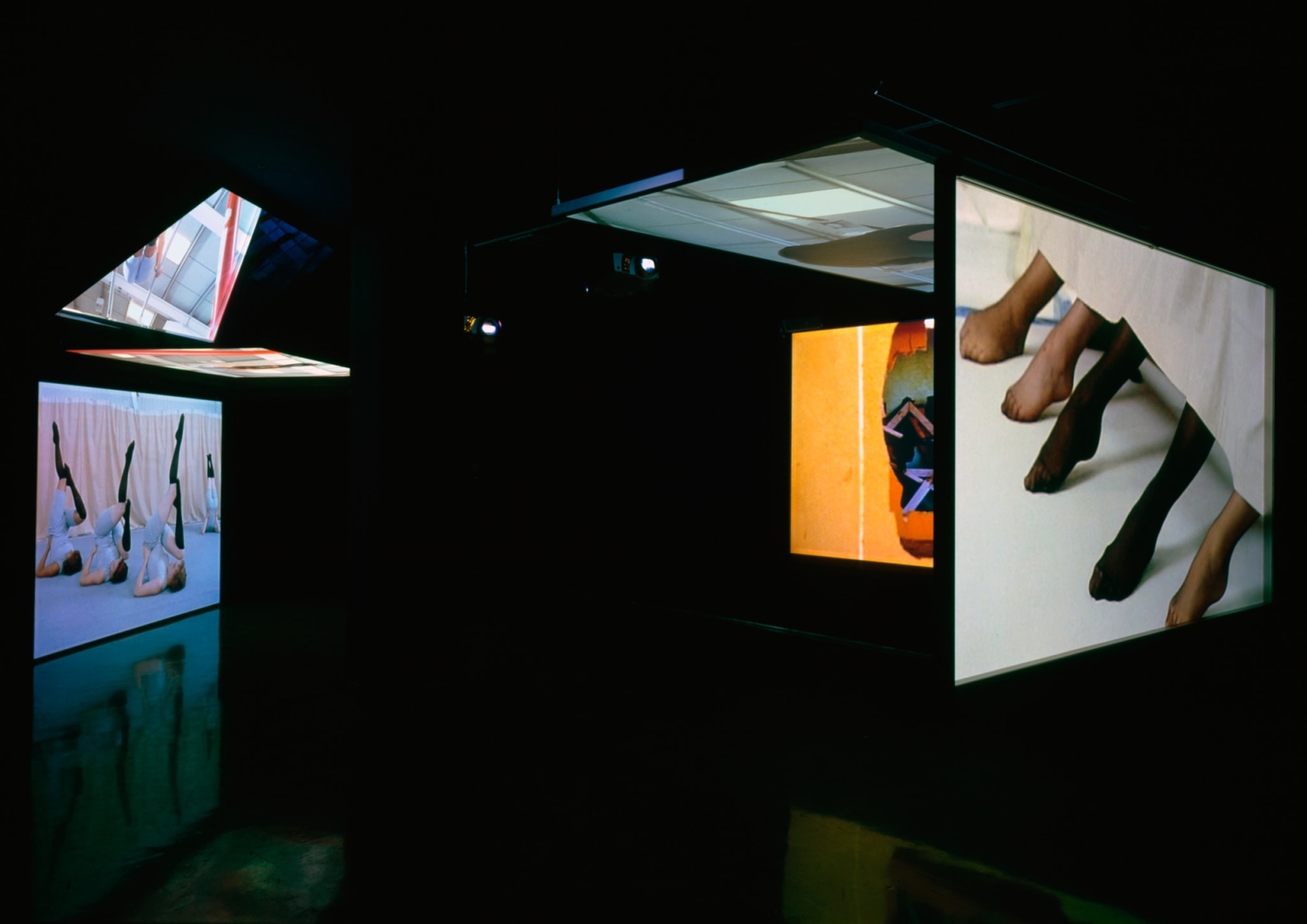 Jane and Louise Wilson, Erewhon, 2004