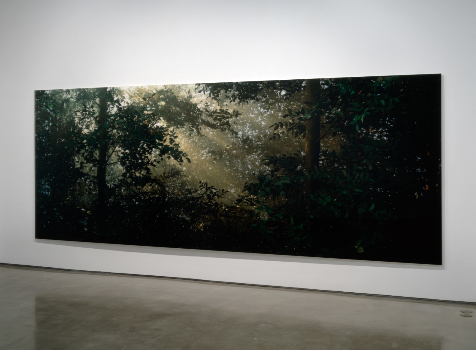 Thomas Demand, Clearing, 2003