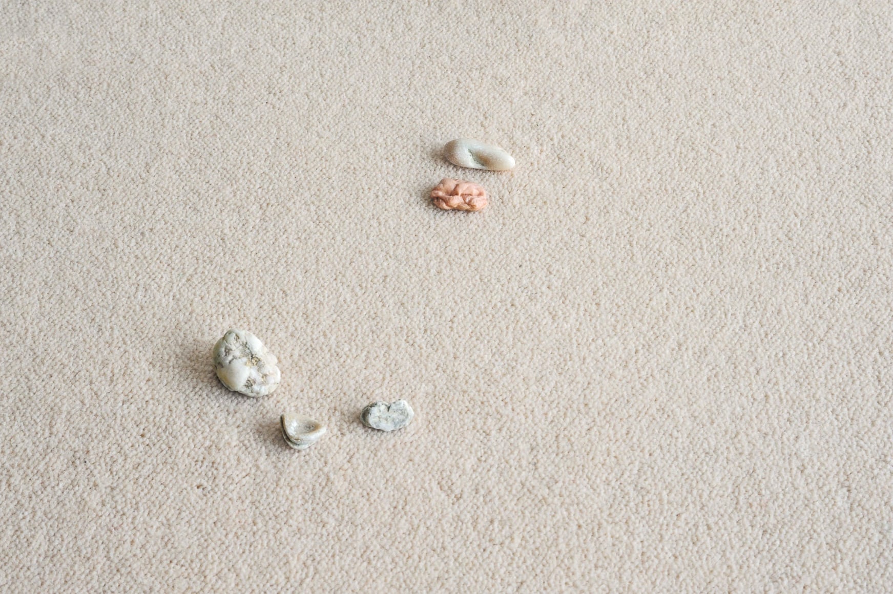 Nina Canell, Installation view: Near Here, Camden Arts Centre, London, 2014