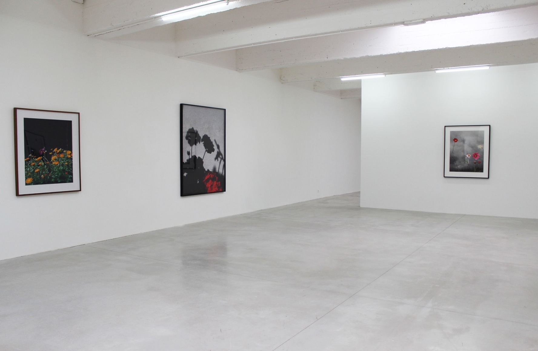 Installation view:&nbsp;L&rsquo;almanach 14: Collier Schorr