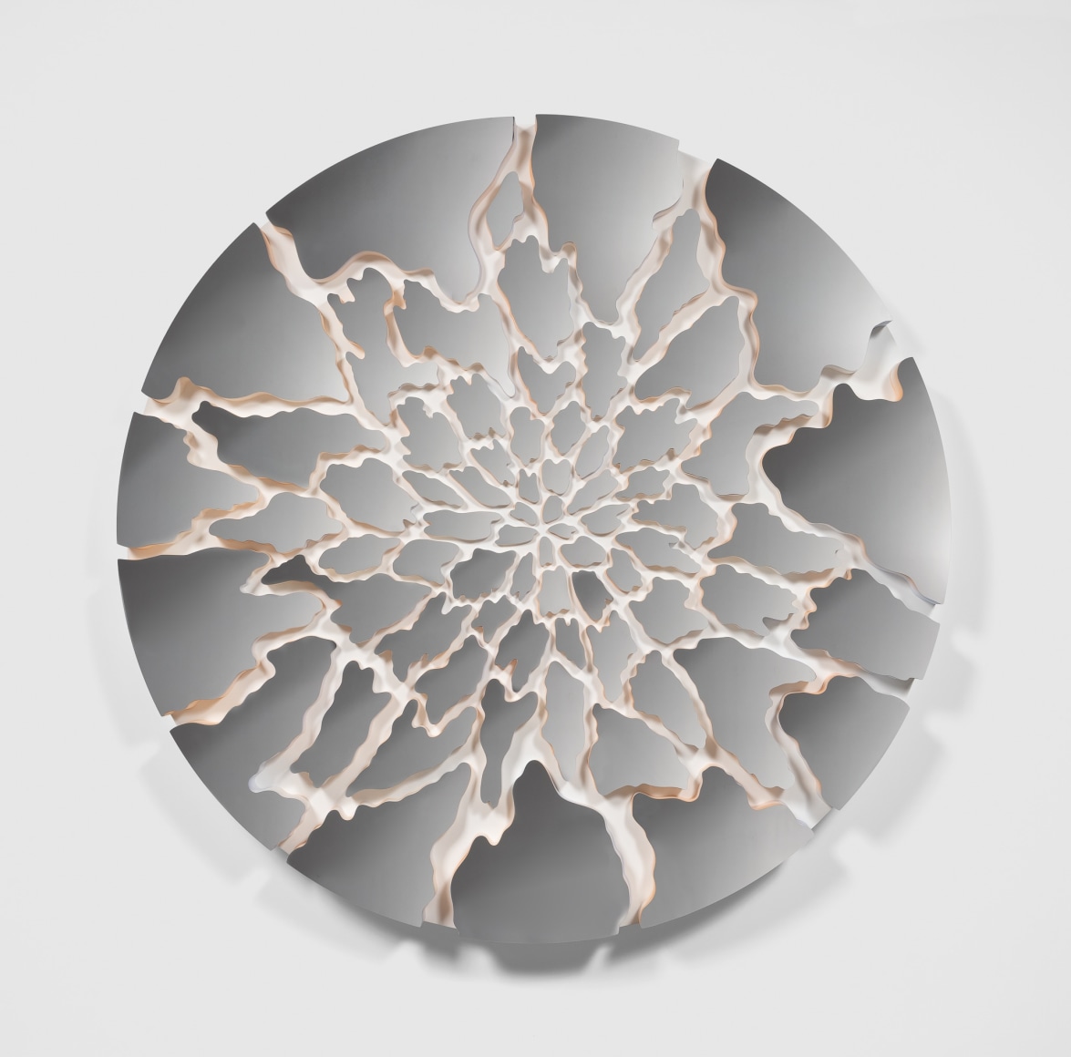 Doug Aitken, Terra (camouflage 34-173C)