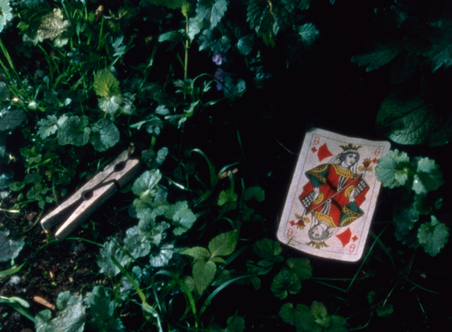 Rodney Graham, The Phonokinetoscope, 2001