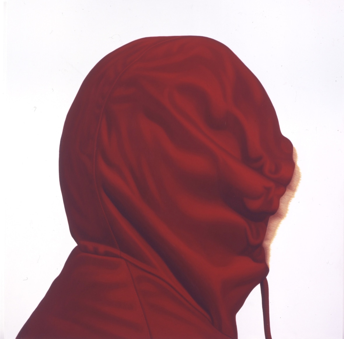 Karel Funk, Untitled #42, 2010