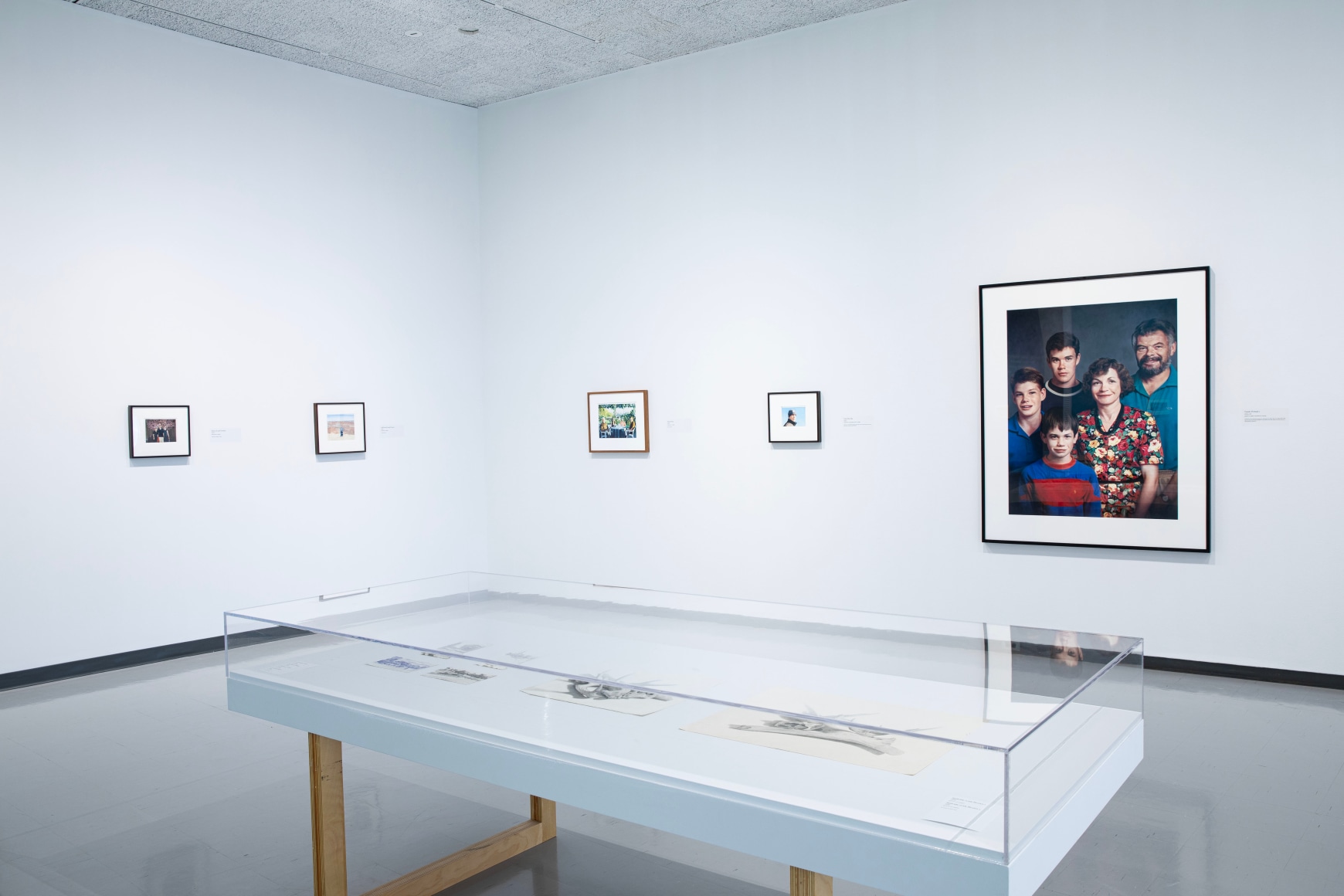 Exhibition view, Tim Gardner: The Full Story, Winnipeg Art Gallery—Qaumajuq, October 7, 2023 – April 28, 2024., Photo: Daisy Wu, courtesy WAG-Qaumajuq.