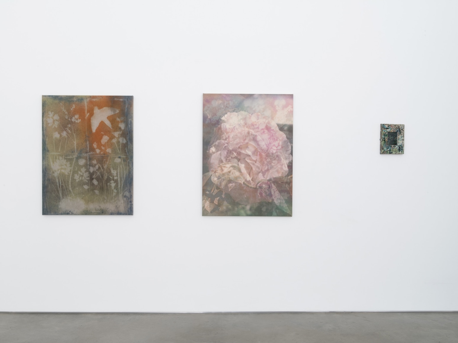 Installation view:&nbsp;Project Room: Sam Falls,&nbsp;Preservation,&nbsp;303 Gallery, New York, 2021