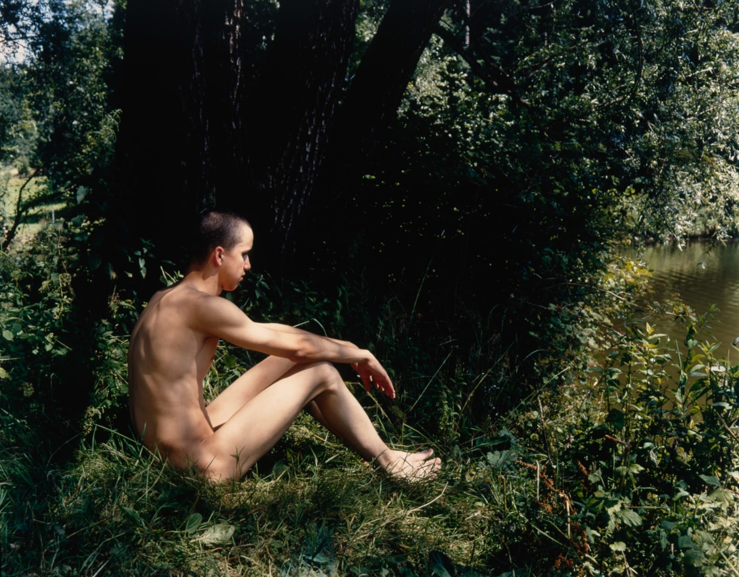 Collier Schorr, Mattias