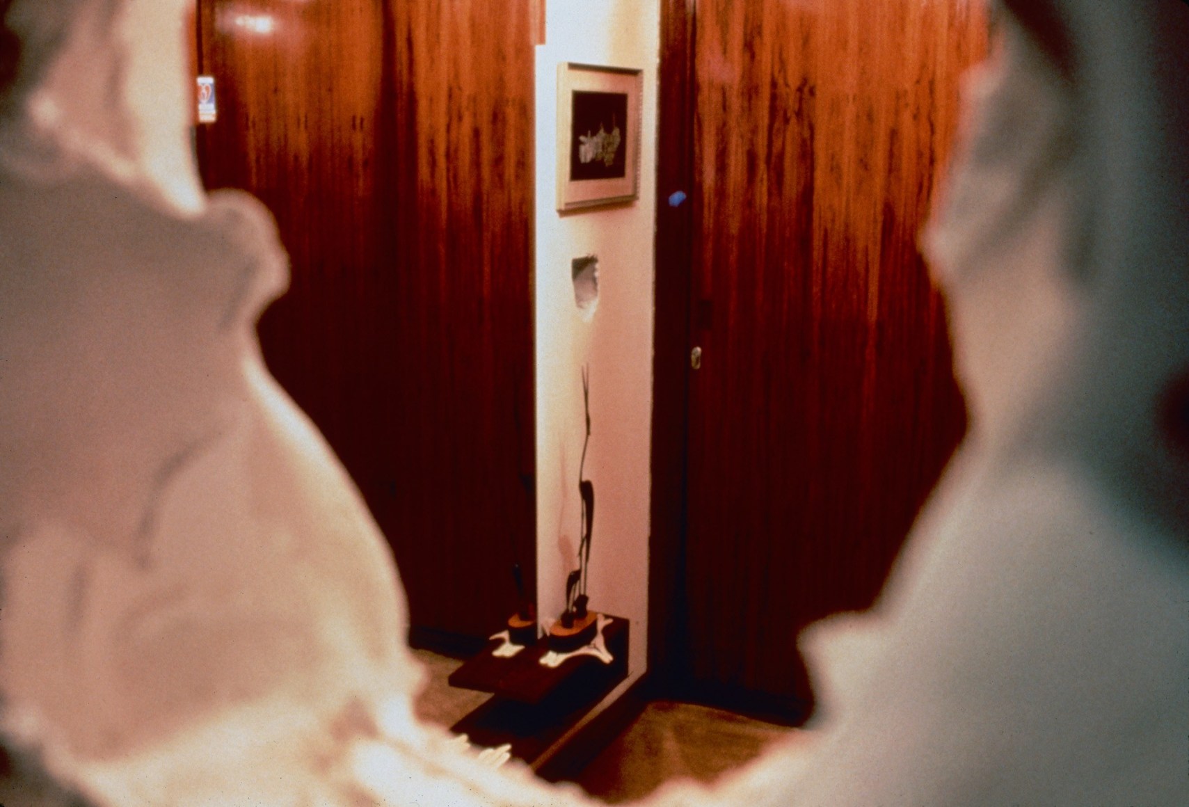 Meyer Vaisman, Green on the Outside, Red on the Inside, 1996