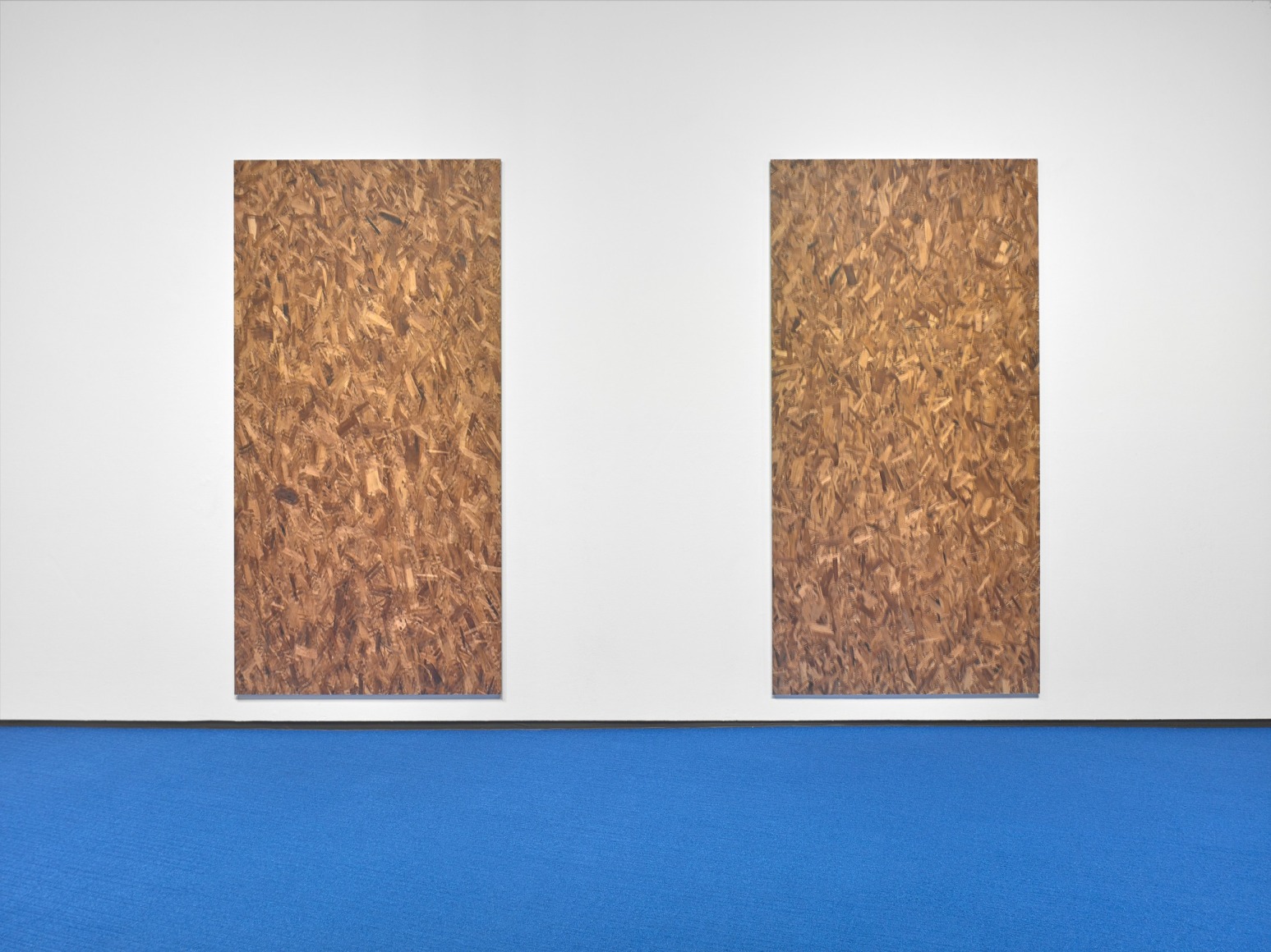Jacob Kassay, Installation view: Footage, Hallwalls Contemporary Art Center, Buffalo, 2019