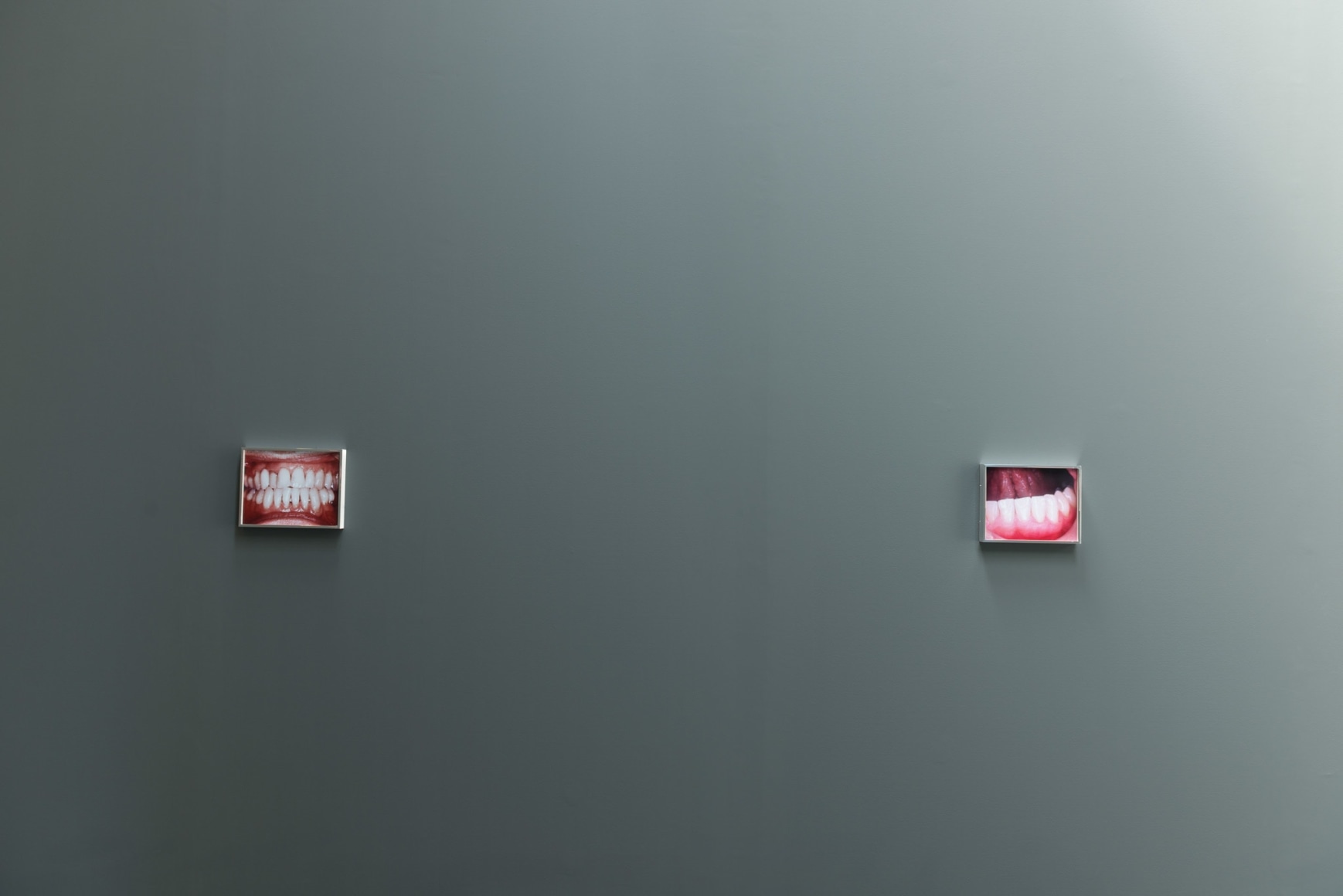 Elad Lassry: Untitled