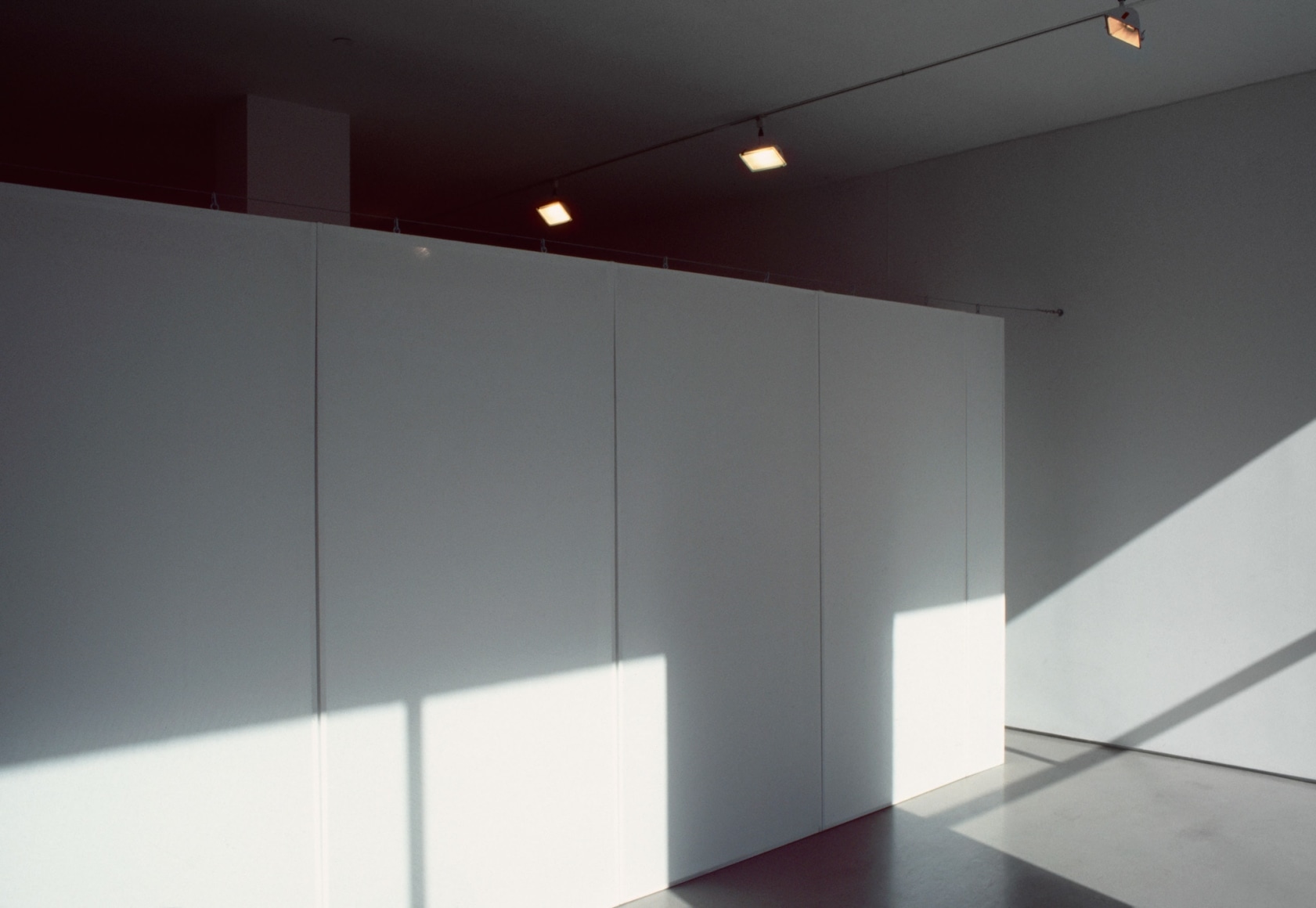 Kristin Oppenheim, The Eyes I Remember, 1999-2000