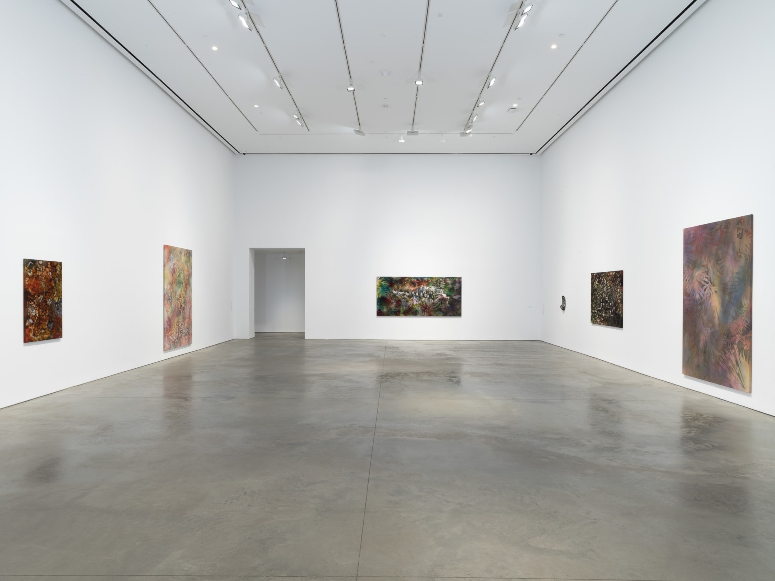 Exhibition view:&nbsp;Sam Falls, 303 Gallery, New York, 2020