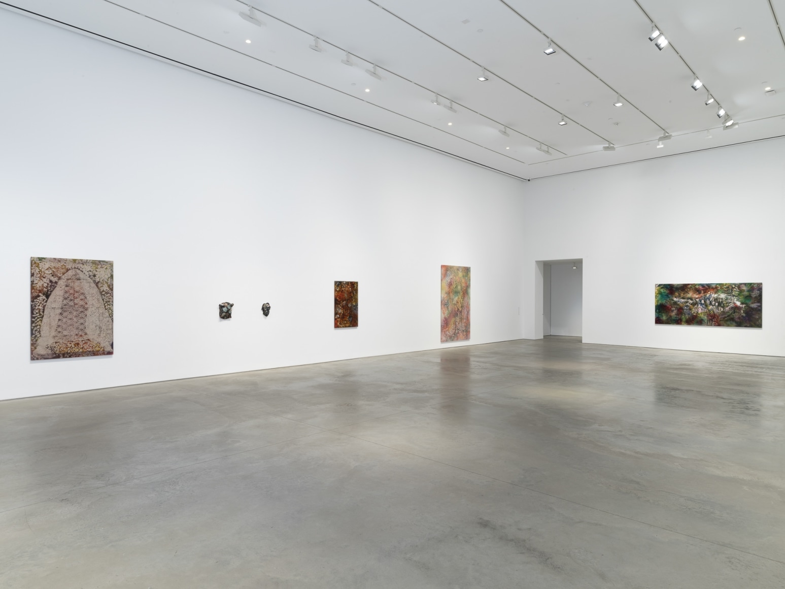 Exhibition view:&nbsp;Sam Falls, 303 Gallery, New York, 2020