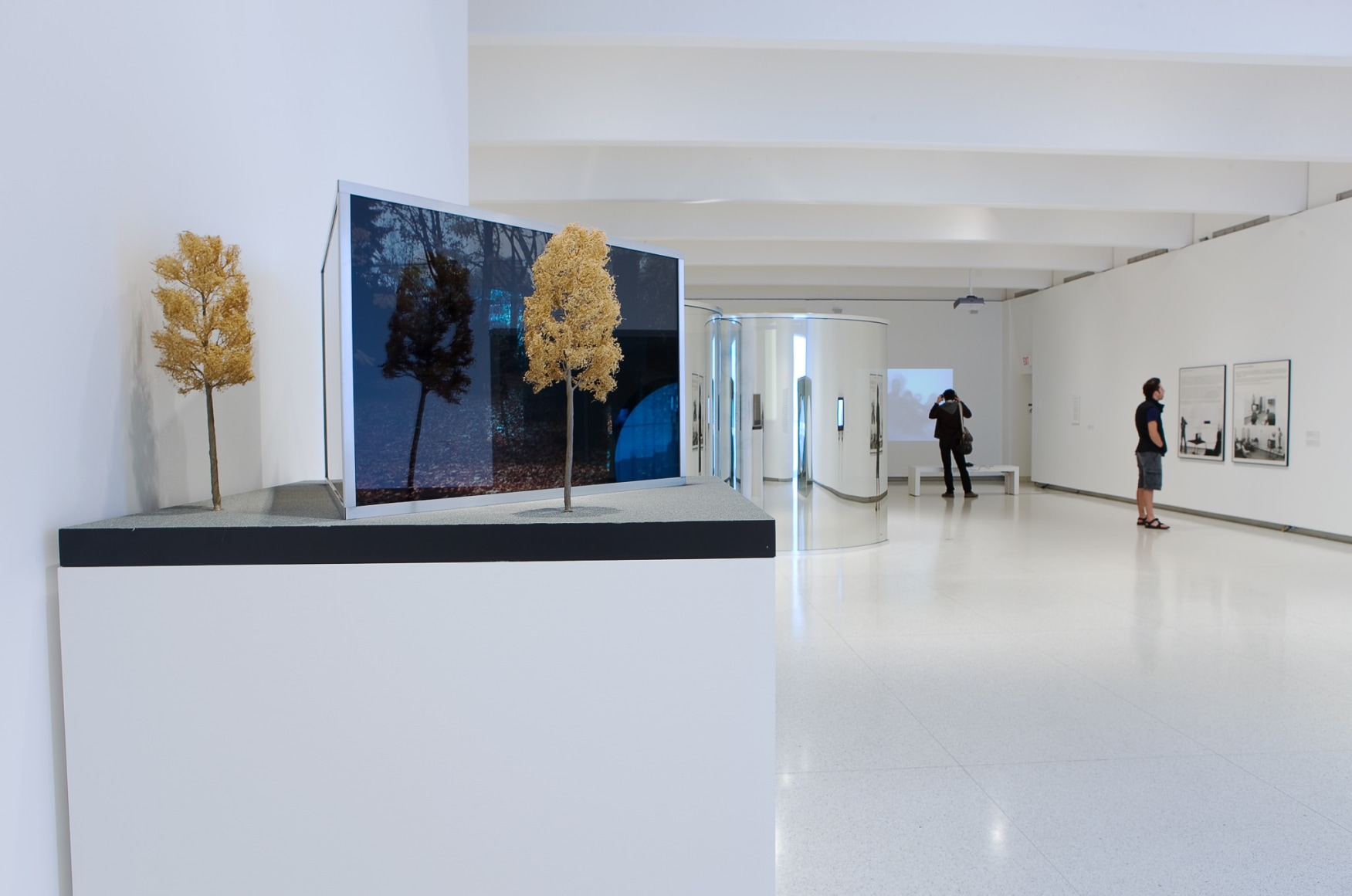 Installation view: Dan Graham: Beyond, Walker Art Center, 2009-2010, Photo: Gene Pittman