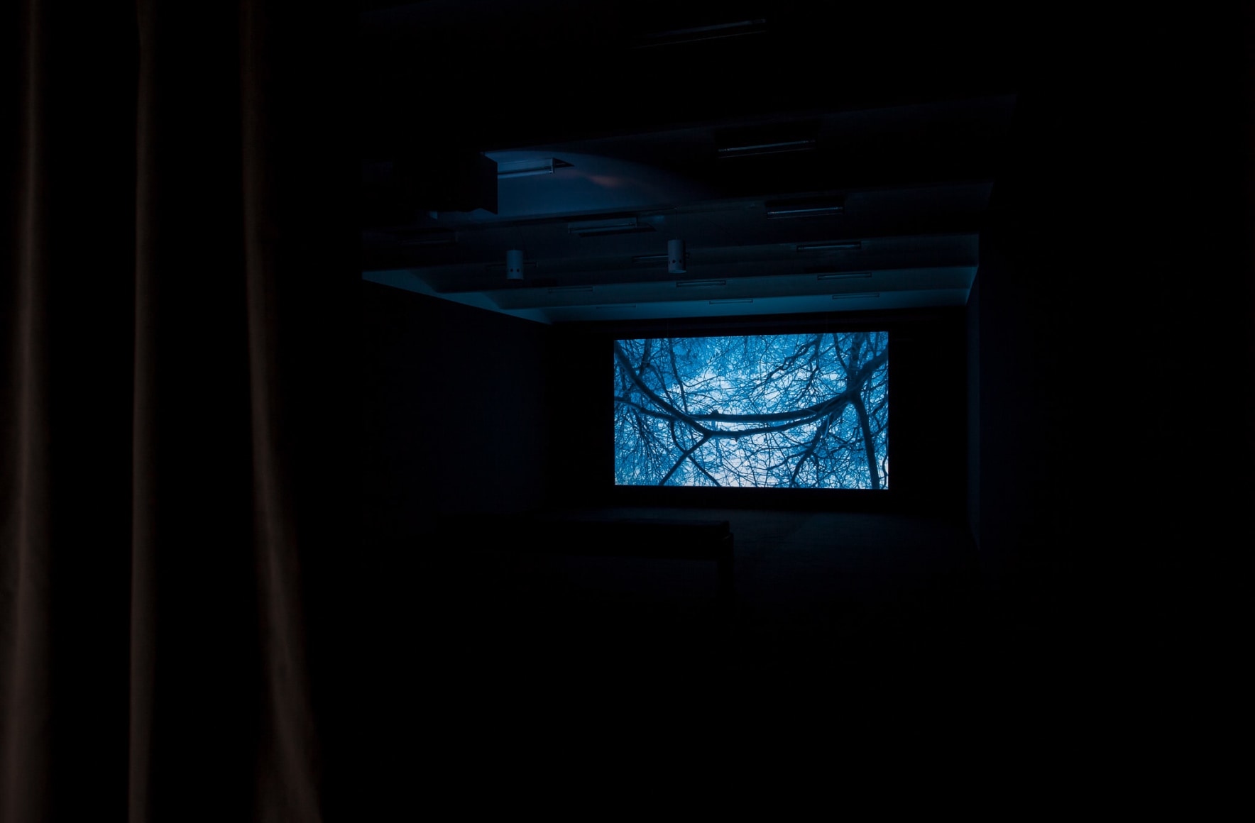 Kristin Oppenheim Ultramarine, 2015
