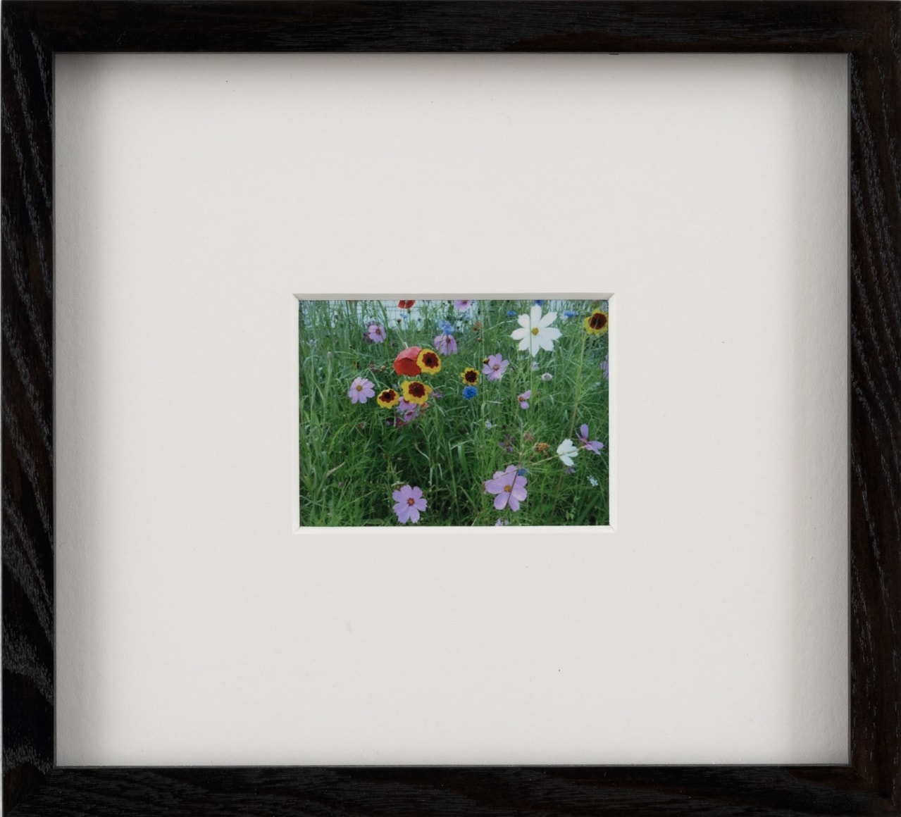 Karen Kilimnik, fairy wildflowers
