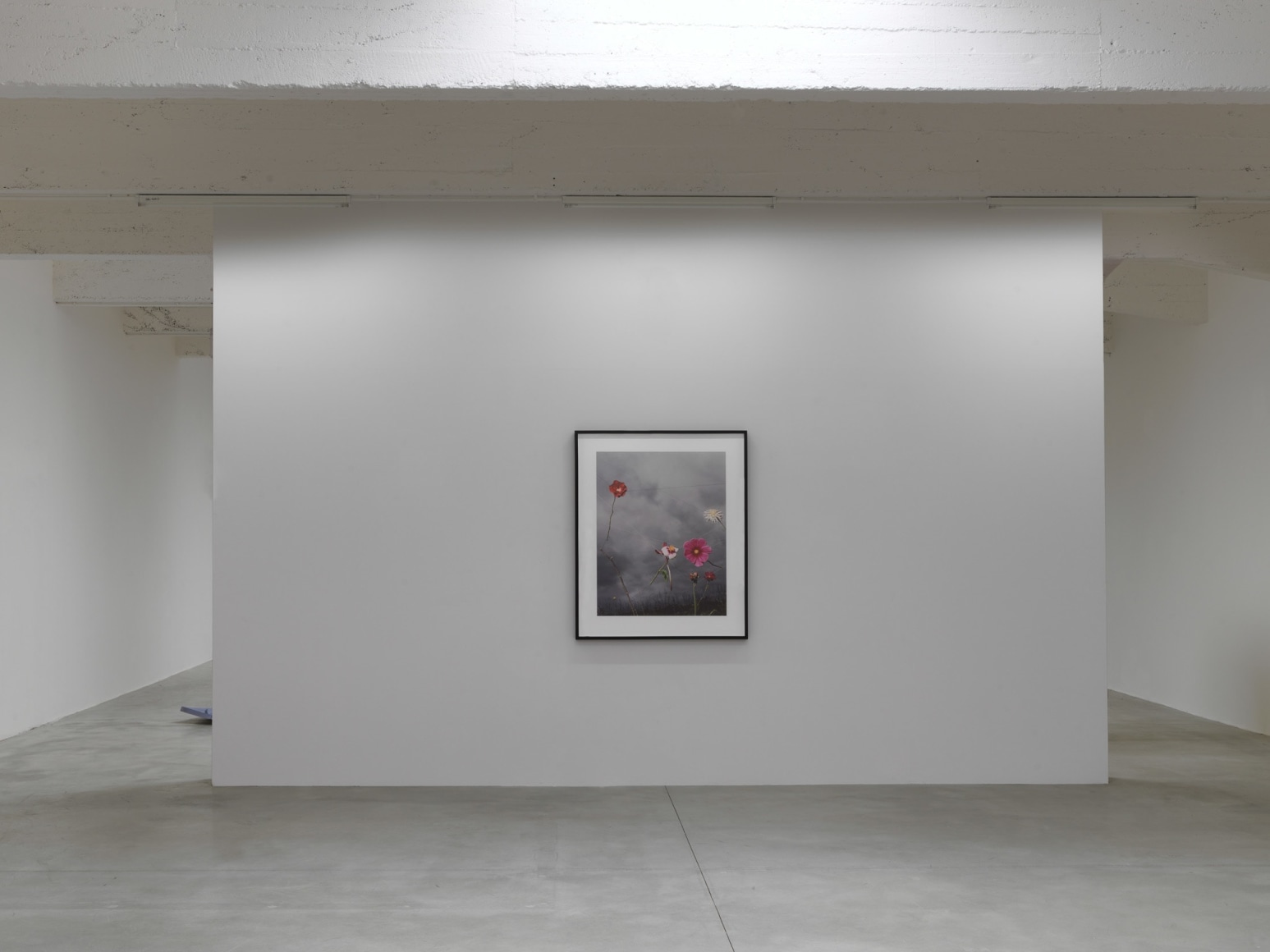 Installation view:&nbsp;L&rsquo;almanach 14: Collier Schorr