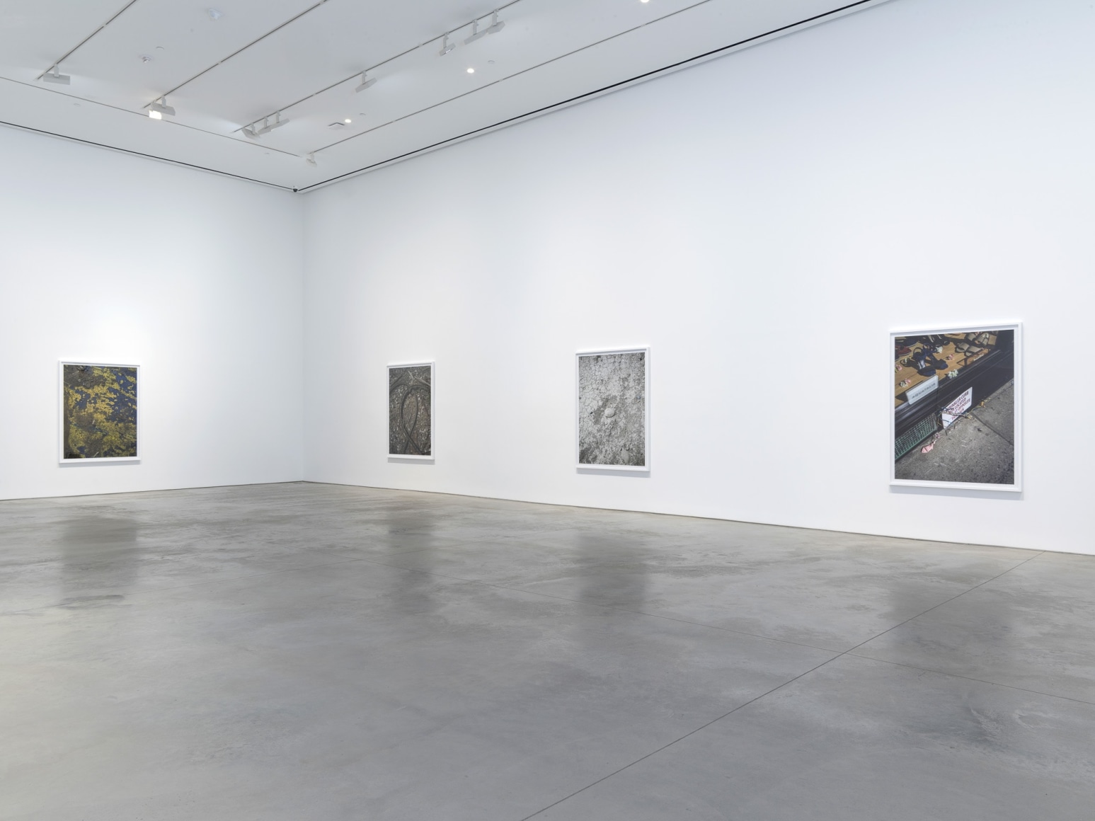 Installation view: Stephen Shore, 303 Gallery, New York, 2018