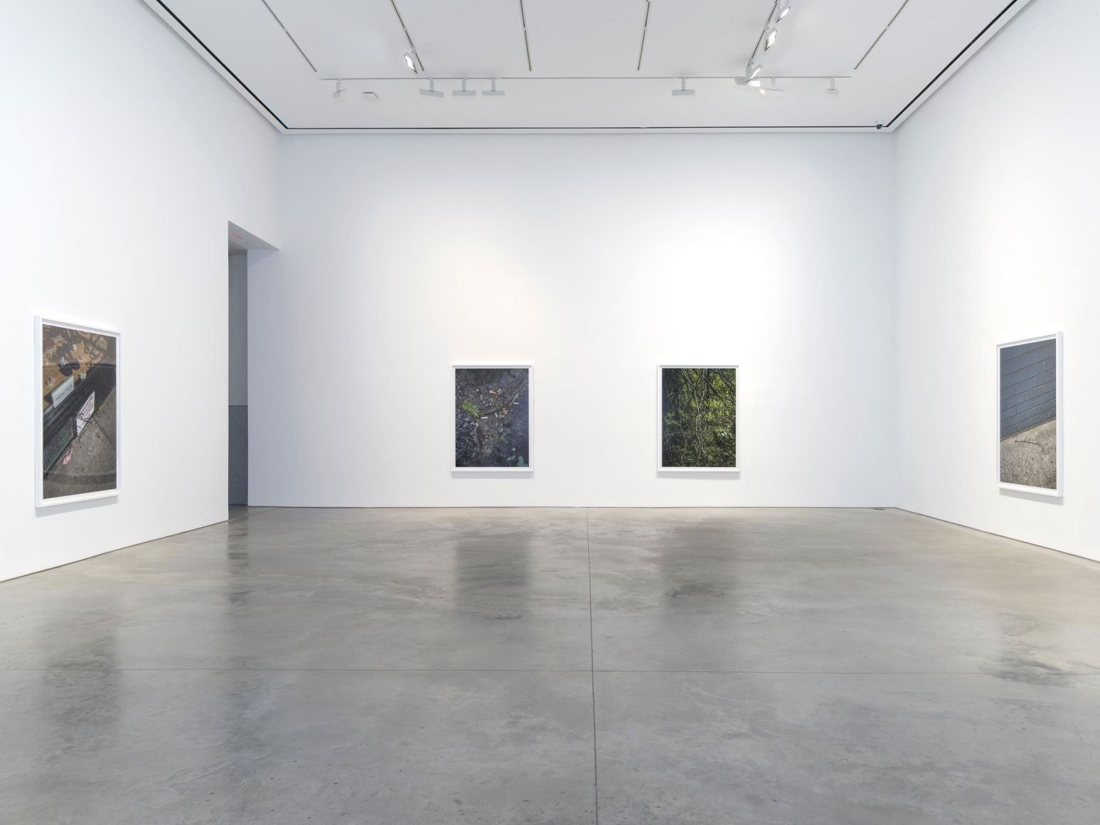 Installation view: Stephen Shore, 303 Gallery, New York, 2018