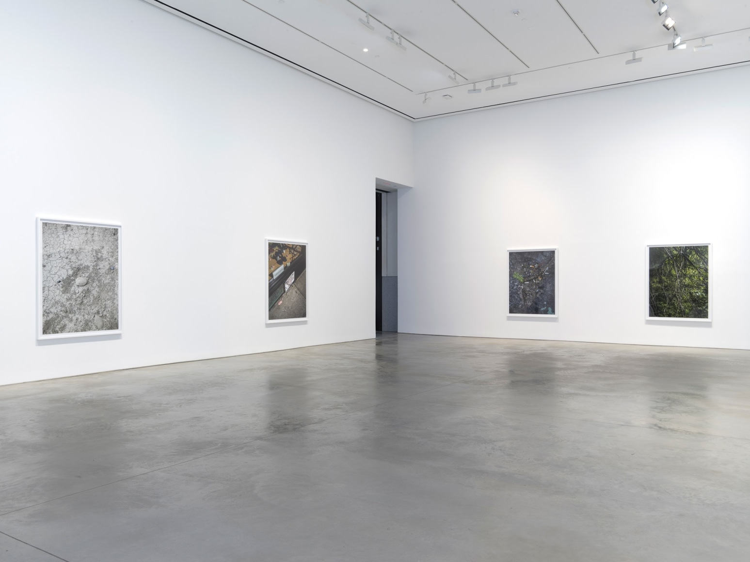 Installation view: Stephen Shore, 303 Gallery, New York, 2018