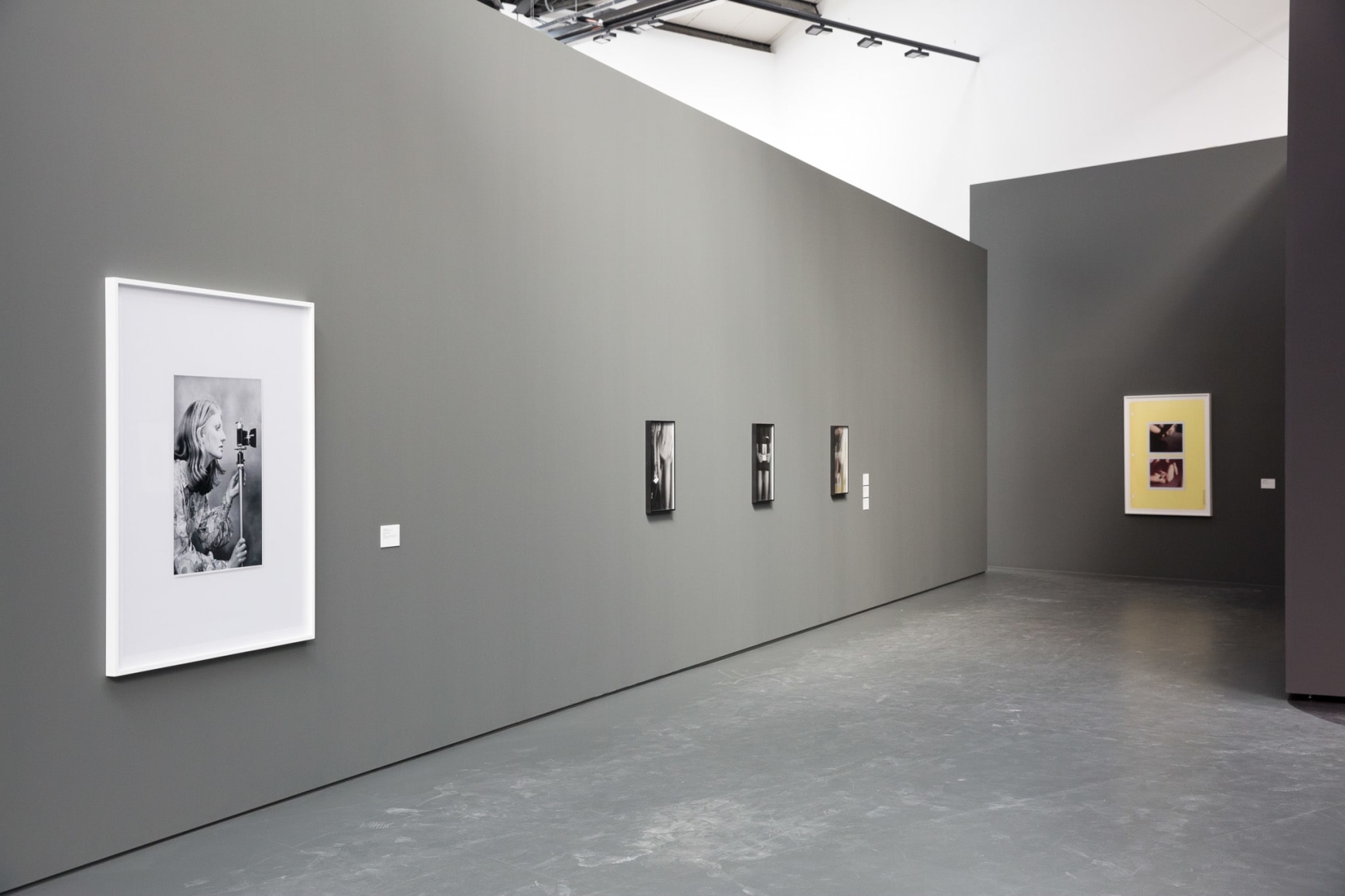 Collier Schorr and Anne Collier : Shutters, Frames, Collections, Repetition, LUMA Arles, 2016