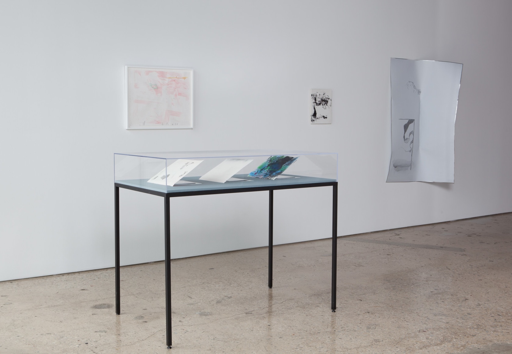 Nick Mauss, The desire for the possibility of new images. Installation at 303 Gallery, 2012