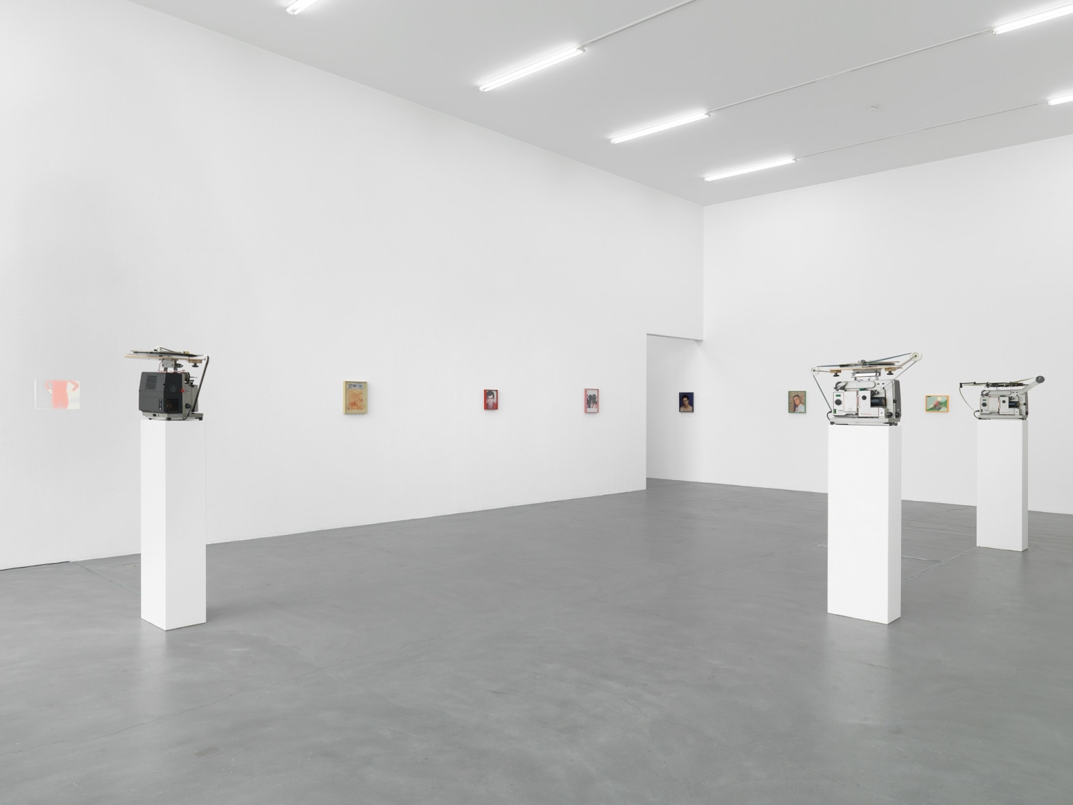 Elad Lassry, Installation view: Kunsthalle Zürich, 2010
