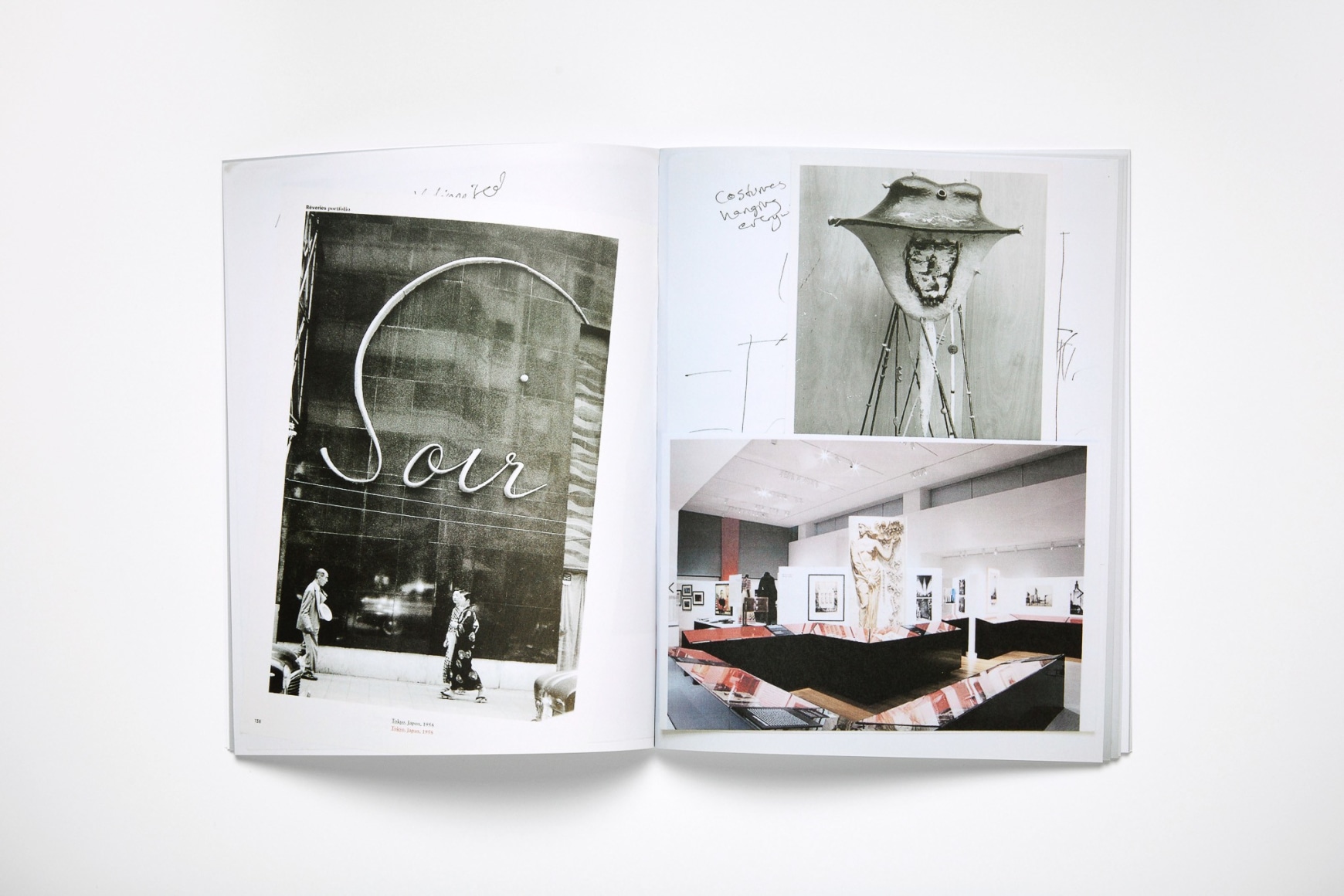 Nick Mauss, Reversible Surfaces, 2017