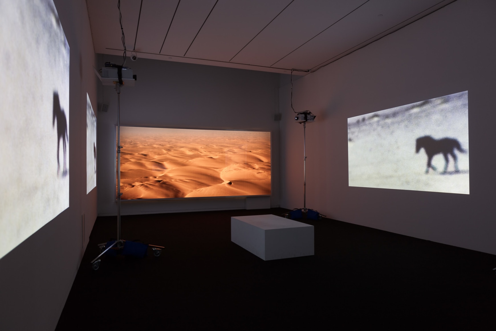 Doug Aitken: Electric Earth, May 28 – August 20, 2017, at the Modern Art Museum of Fort Worth.