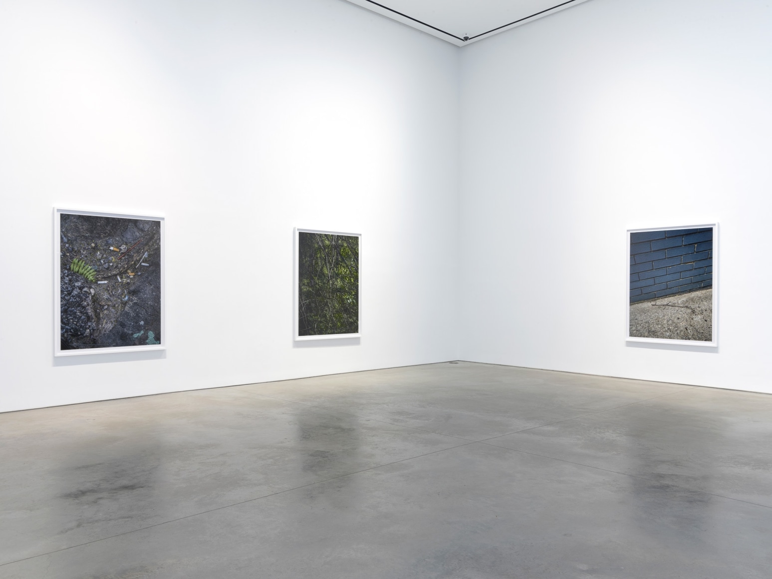 Installation view: Stephen Shore, 303 Gallery, New York, 2018