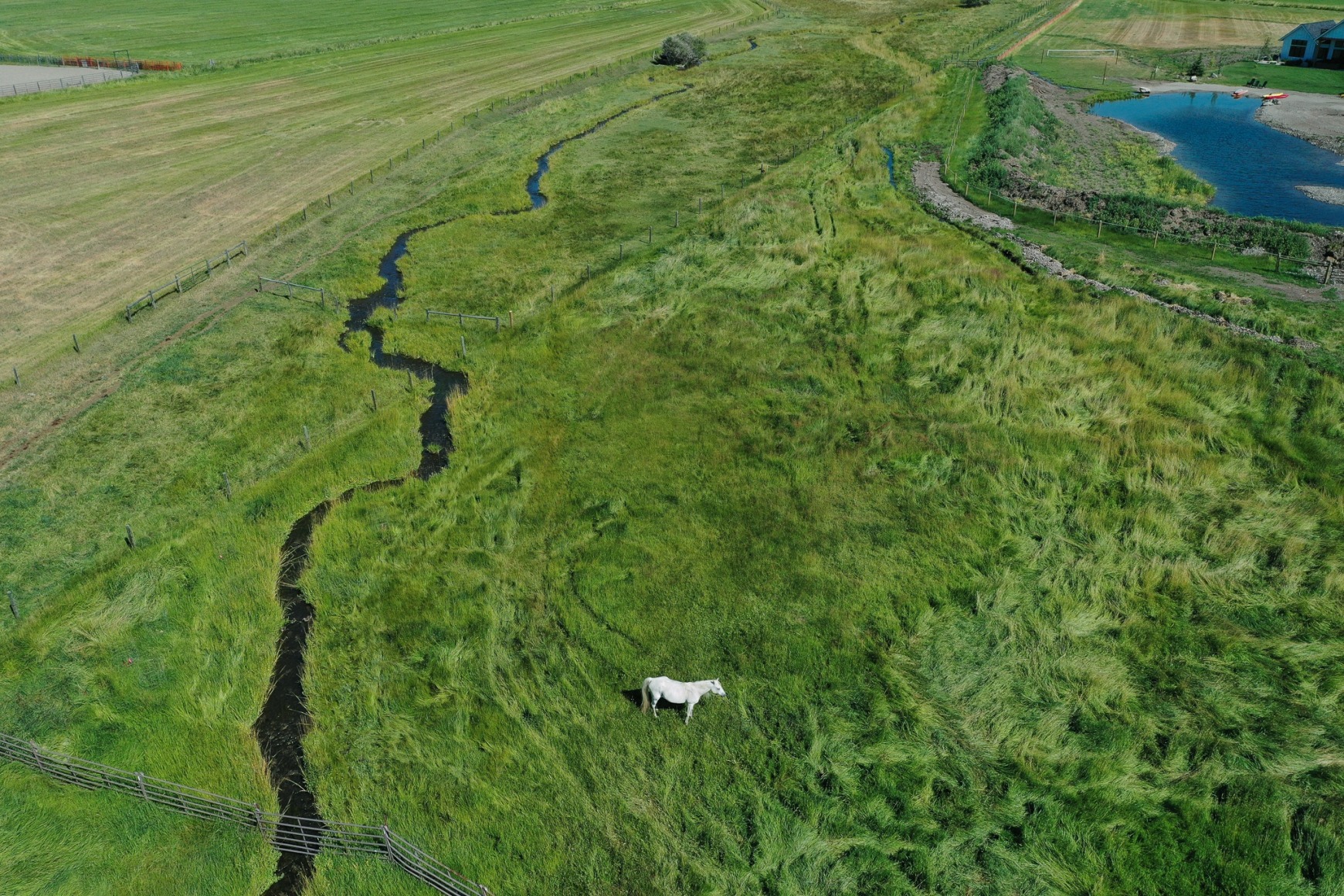 Stephen Shore, Bozeman, Montana, August 7, 2020