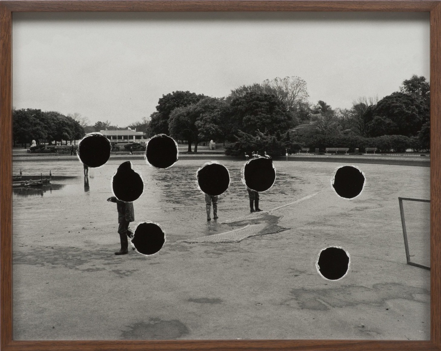 Elad Lassry, Landscape (Flamingos), 2013