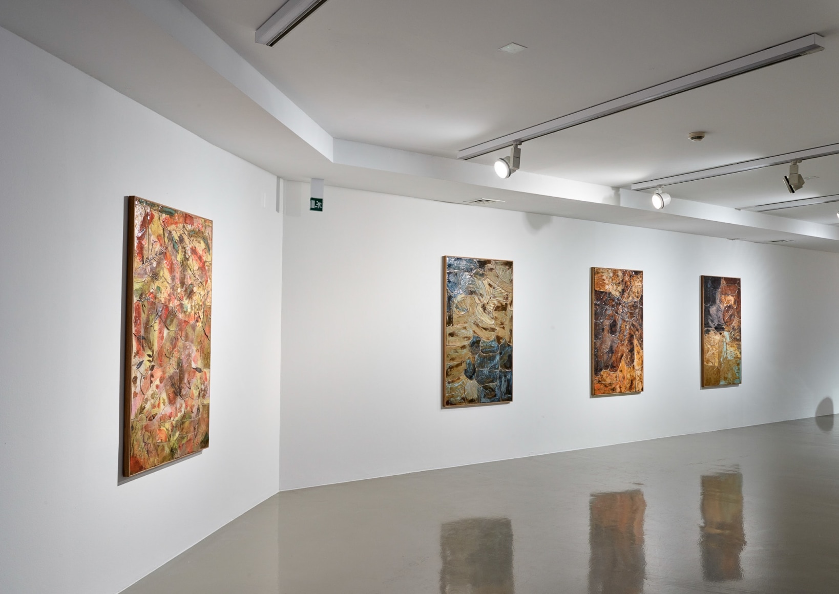 Sam Falls, Installation view: Nature Is The New Minimalism, MART, Galleria Civica, Trento, Italy, 2018. Photo: Bianca Lampariello