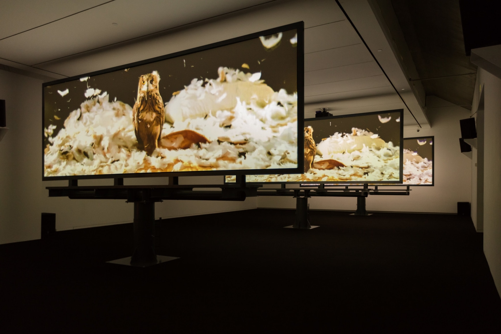 Doug Aitken: Electric Earth, May 28 – August 20, 2017, at the Modern Art Museum of Fort Worth.