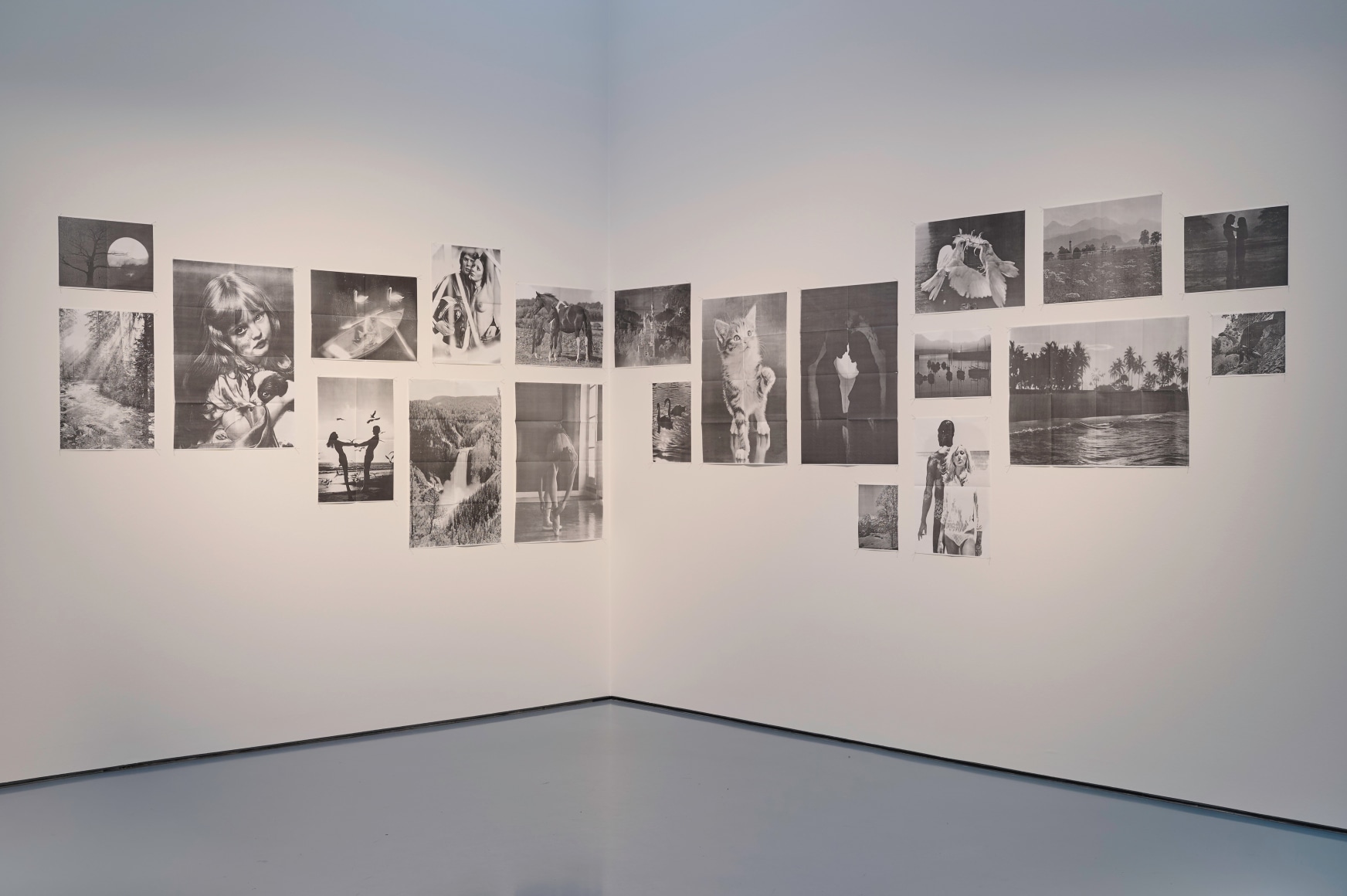 Installation view „Hans-Peter Feldmann. Art Exhibition“, Kunstpalast, Düsseldorf, 2025, © VG Bild-Kunst, Bonn 2025, Foto / Photo: Maris Prieditis