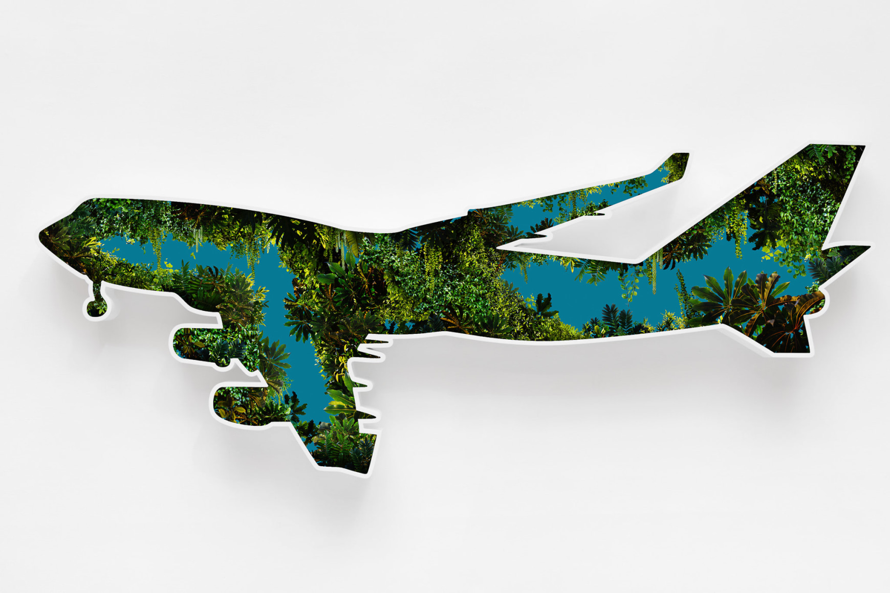Doug Aitken, Jungle Plane, 2017