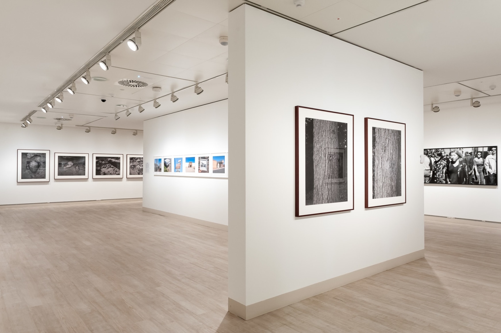 Stephen Shore, Installation view: Fundación MAPFRE, Madrid, 2014