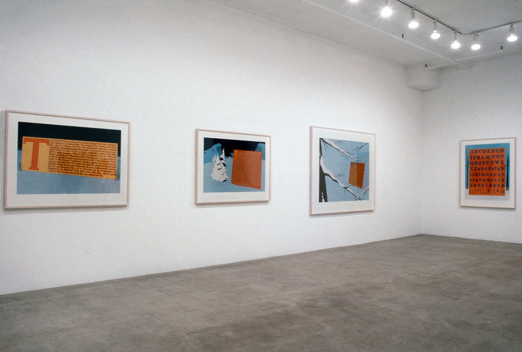 Larry Johnson, Installation view: 303 Gallery, 1991