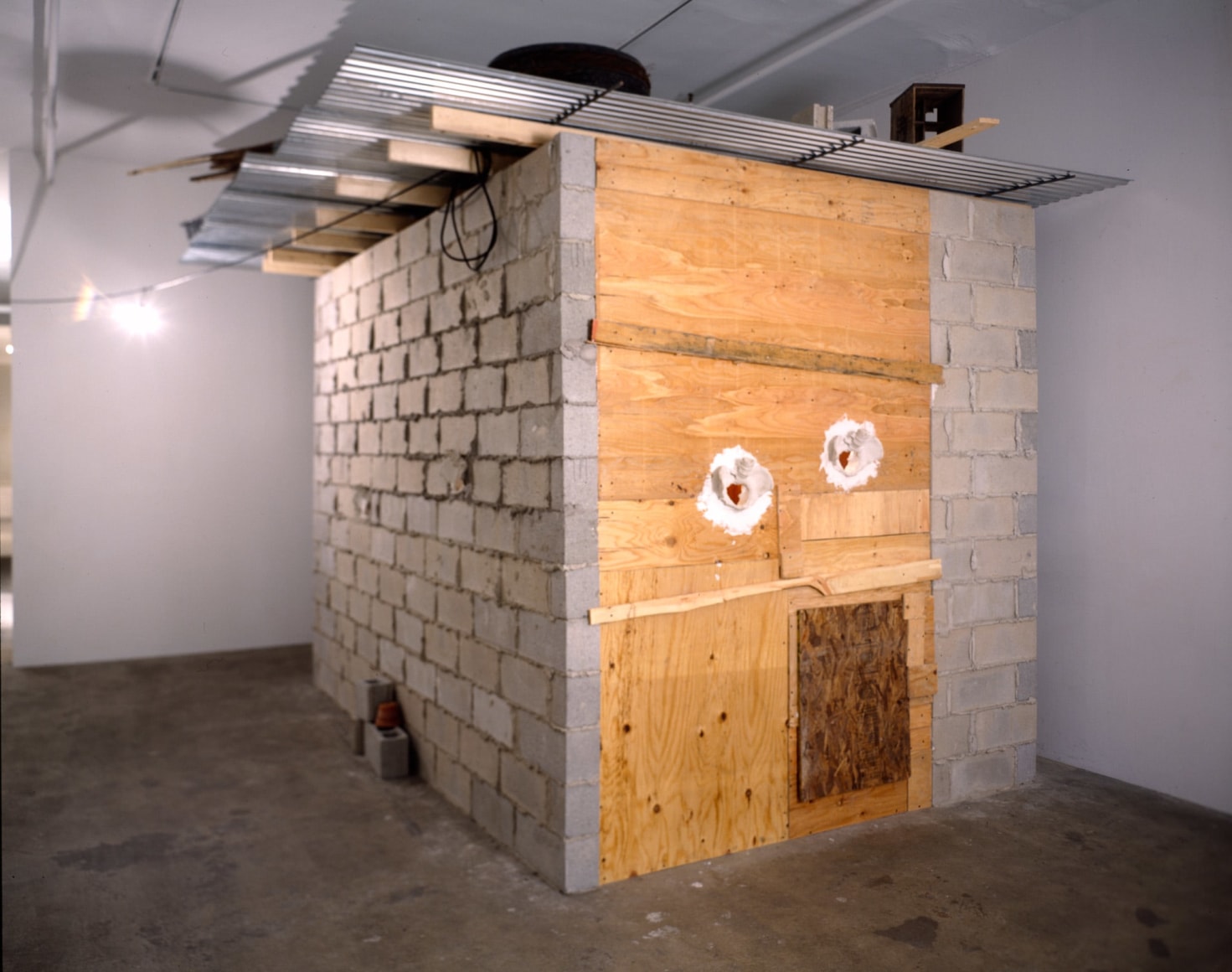 Meyer Vaisman, Green on the Outside, Red on the Inside, 1996